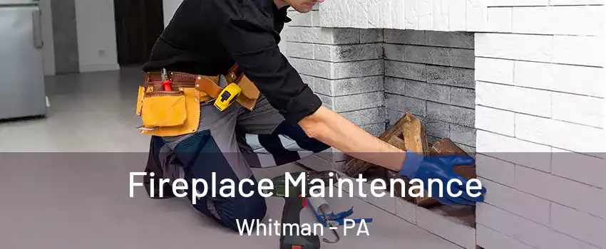 Fireplace Maintenance Whitman - PA