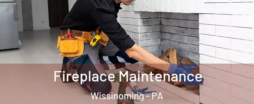 Fireplace Maintenance Wissinoming - PA