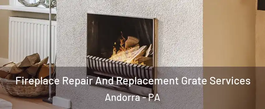 Fireplace Repair And Replacement Grate Services Andorra - PA