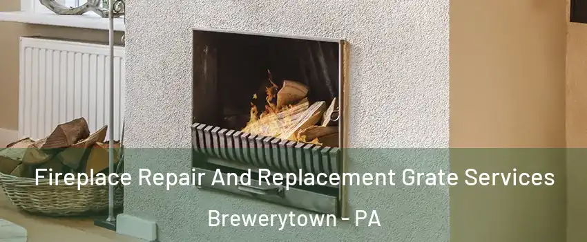 Fireplace Repair And Replacement Grate Services Brewerytown - PA