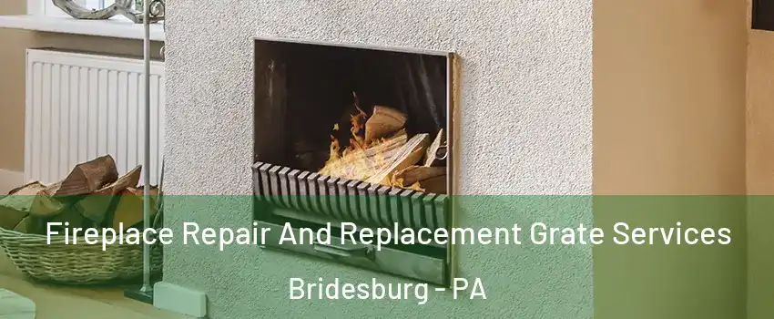 Fireplace Repair And Replacement Grate Services Bridesburg - PA