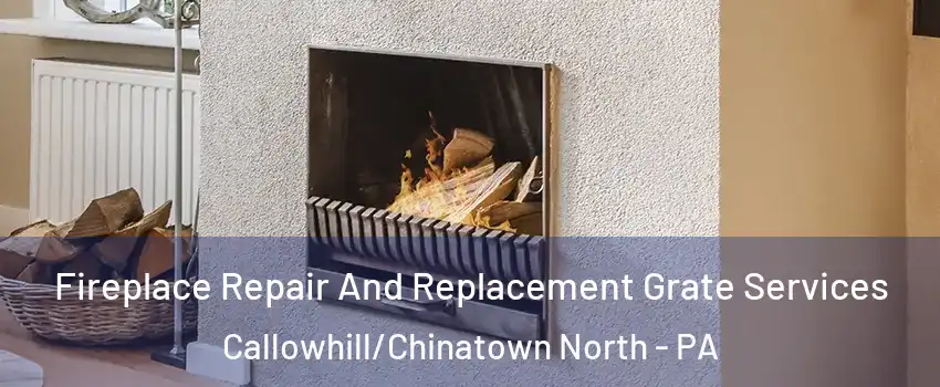Fireplace Repair And Replacement Grate Services Callowhill/Chinatown North - PA
