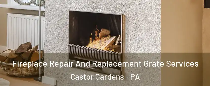 Fireplace Repair And Replacement Grate Services Castor Gardens - PA