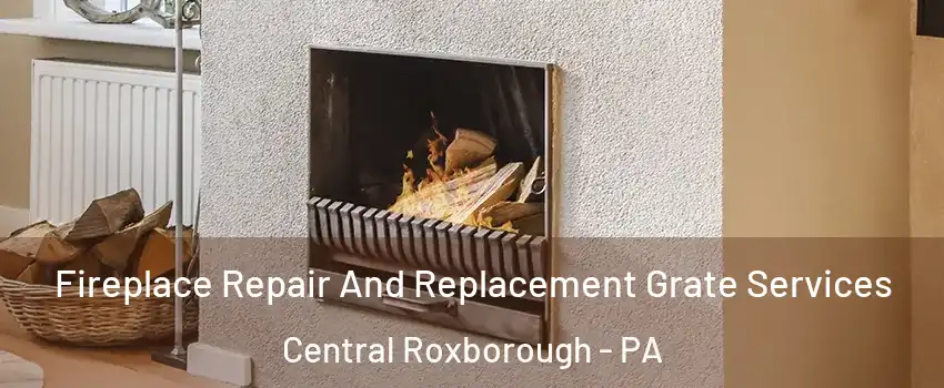 Fireplace Repair And Replacement Grate Services Central Roxborough - PA