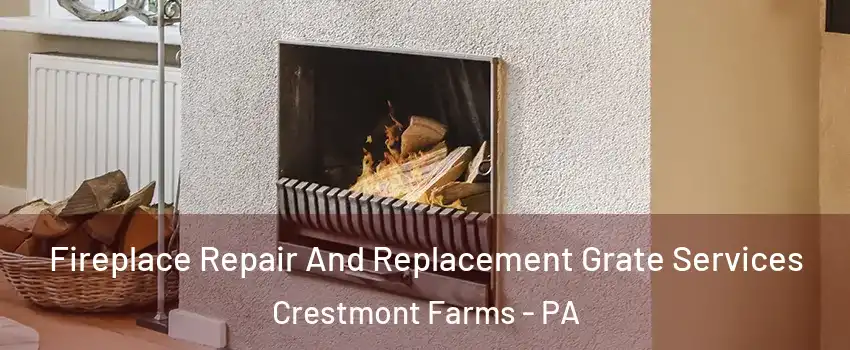 Fireplace Repair And Replacement Grate Services Crestmont Farms - PA
