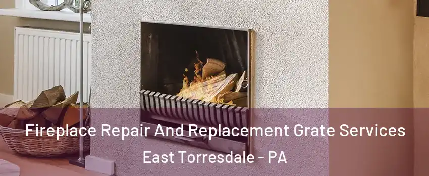Fireplace Repair And Replacement Grate Services East Torresdale - PA