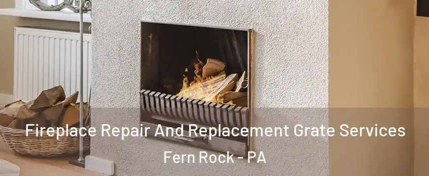 Fireplace Repair And Replacement Grate Services Fern Rock - PA