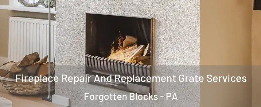 Fireplace Repair And Replacement Grate Services Forgotten Blocks - PA
