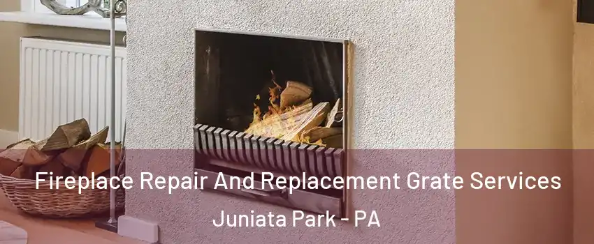 Fireplace Repair And Replacement Grate Services Juniata Park - PA