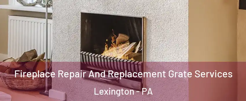 Fireplace Repair And Replacement Grate Services Lexington - PA