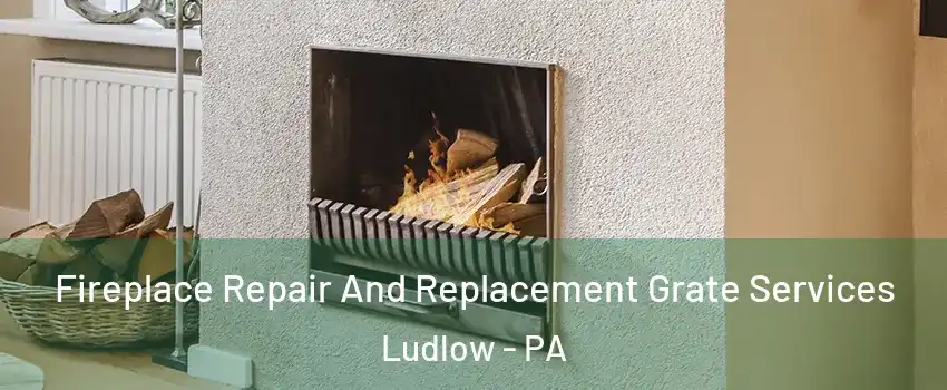 Fireplace Repair And Replacement Grate Services Ludlow - PA