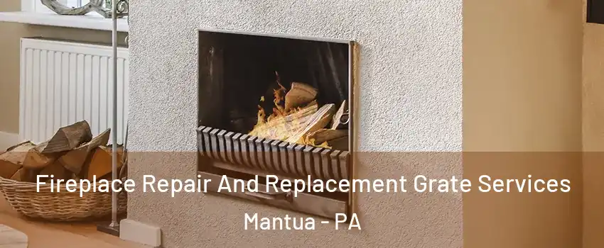Fireplace Repair And Replacement Grate Services Mantua - PA
