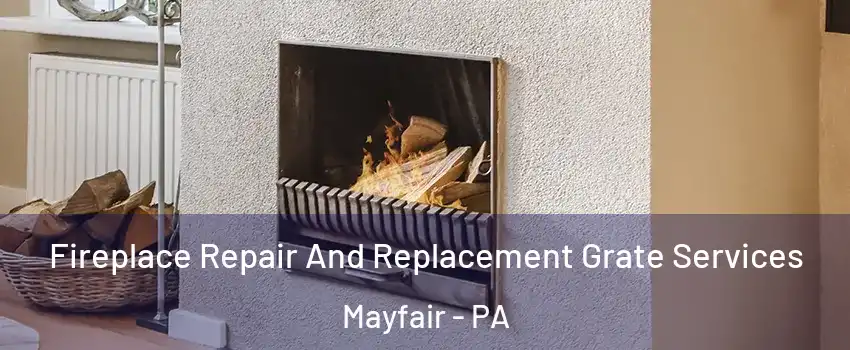 Fireplace Repair And Replacement Grate Services Mayfair - PA