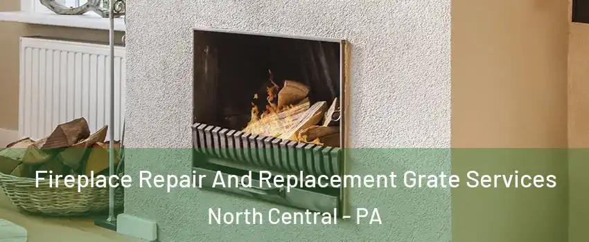 Fireplace Repair And Replacement Grate Services North Central - PA