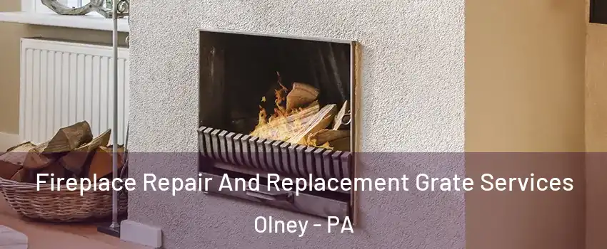 Fireplace Repair And Replacement Grate Services Olney - PA