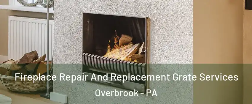 Fireplace Repair And Replacement Grate Services Overbrook - PA