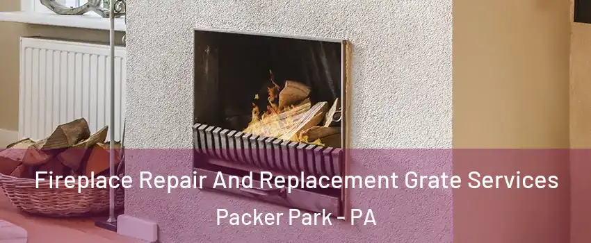 Fireplace Repair And Replacement Grate Services Packer Park - PA