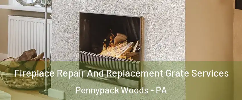Fireplace Repair And Replacement Grate Services Pennypack Woods - PA