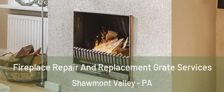 Fireplace Repair And Replacement Grate Services Shawmont Valley - PA