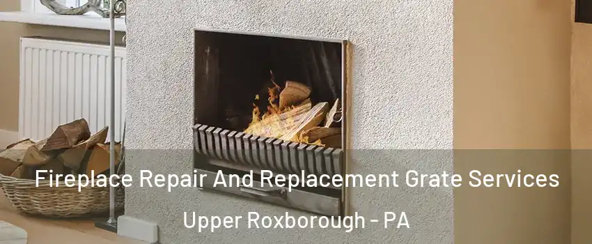 Fireplace Repair And Replacement Grate Services Upper Roxborough - PA
