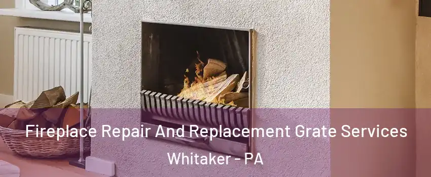Fireplace Repair And Replacement Grate Services Whitaker - PA
