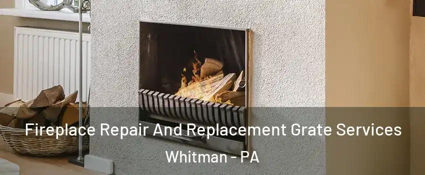Fireplace Repair And Replacement Grate Services Whitman - PA