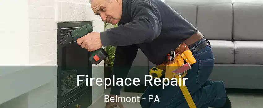Fireplace Repair Belmont - PA