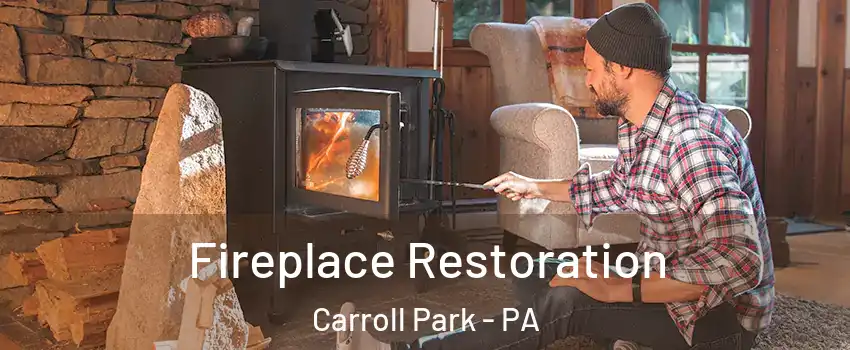 Fireplace Restoration Carroll Park - PA