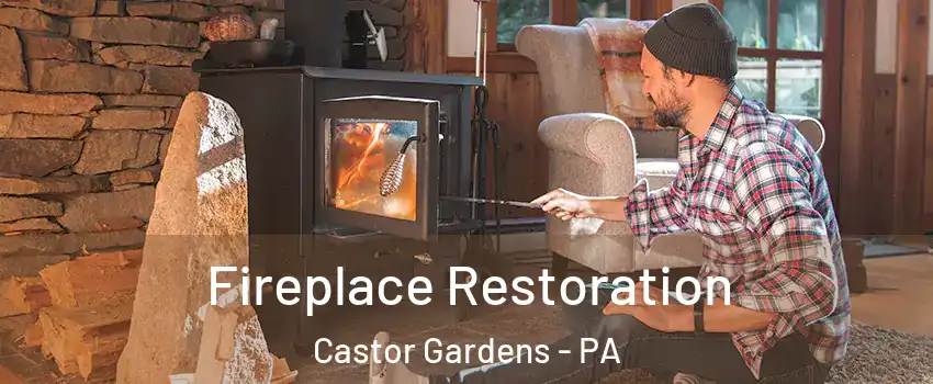 Fireplace Restoration Castor Gardens - PA