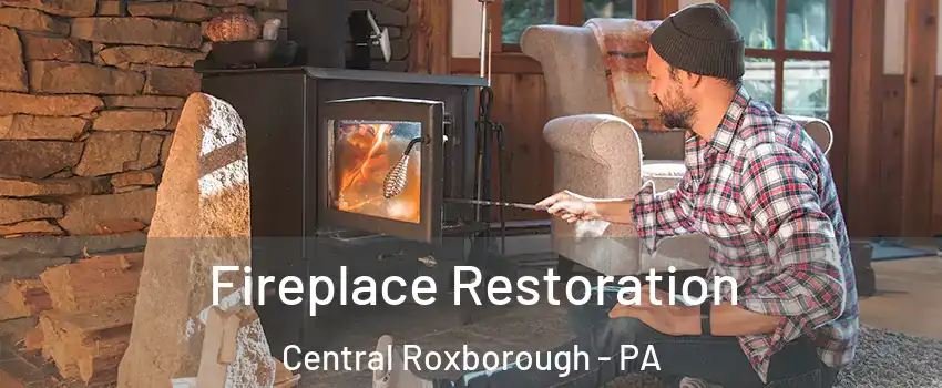 Fireplace Restoration Central Roxborough - PA