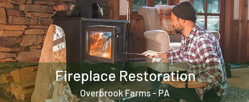 Fireplace Restoration Overbrook Farms - PA