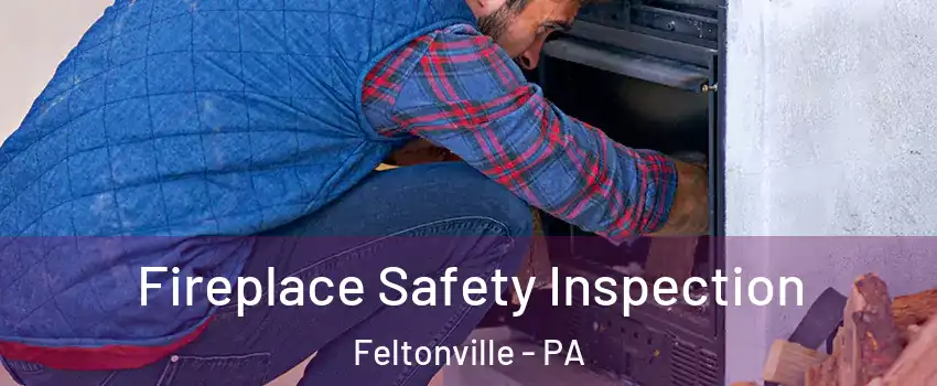 Fireplace Safety Inspection Feltonville - PA