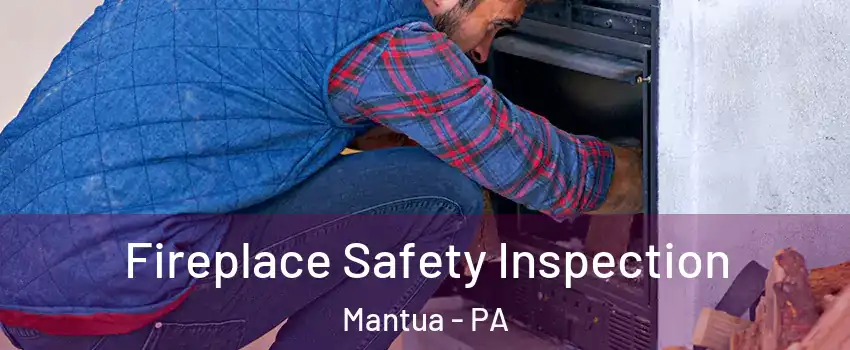 Fireplace Safety Inspection Mantua - PA
