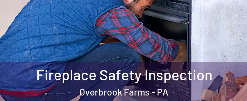 Fireplace Safety Inspection Overbrook Farms - PA
