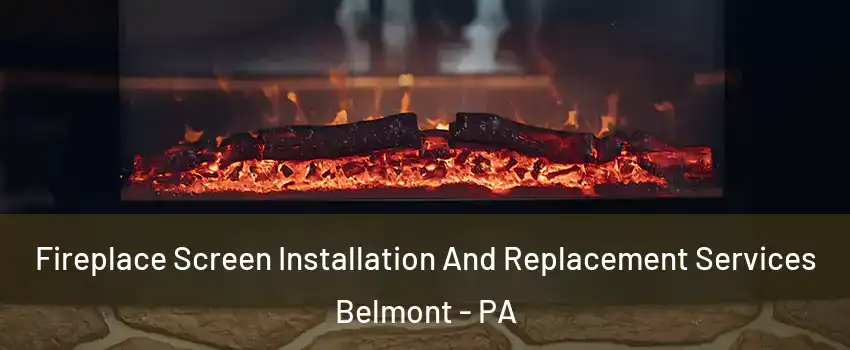 Fireplace Screen Installation And Replacement Services Belmont - PA
