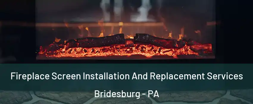 Fireplace Screen Installation And Replacement Services Bridesburg - PA