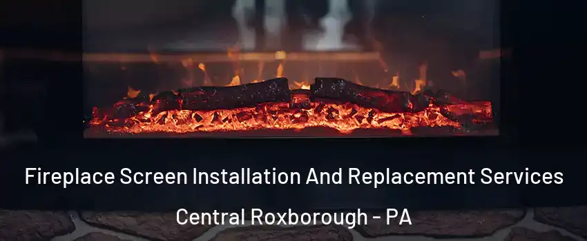 Fireplace Screen Installation And Replacement Services Central Roxborough - PA