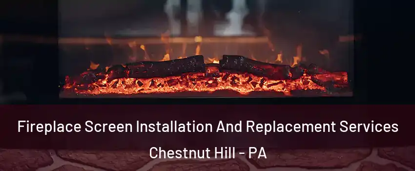 Fireplace Screen Installation And Replacement Services Chestnut Hill - PA