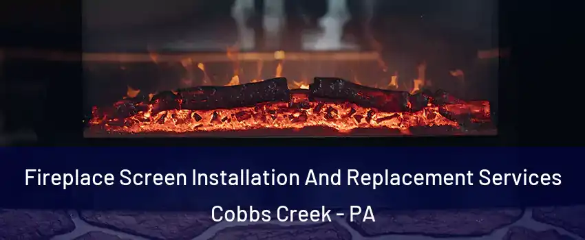Fireplace Screen Installation And Replacement Services Cobbs Creek - PA