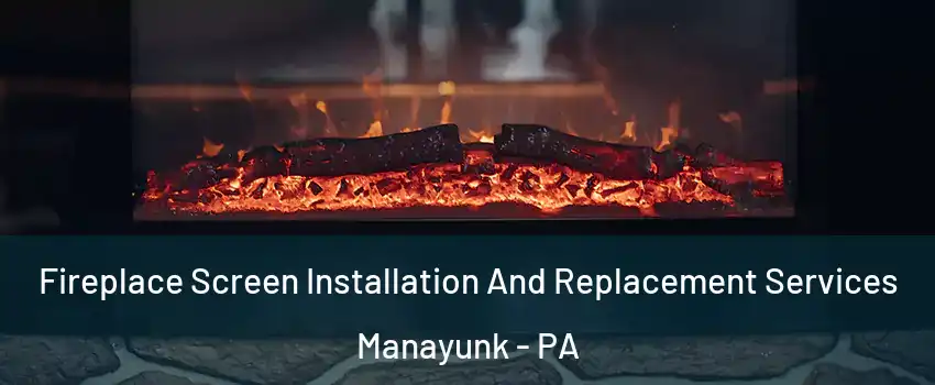 Fireplace Screen Installation And Replacement Services Manayunk - PA
