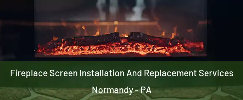 Fireplace Screen Installation And Replacement Services Normandy - PA
