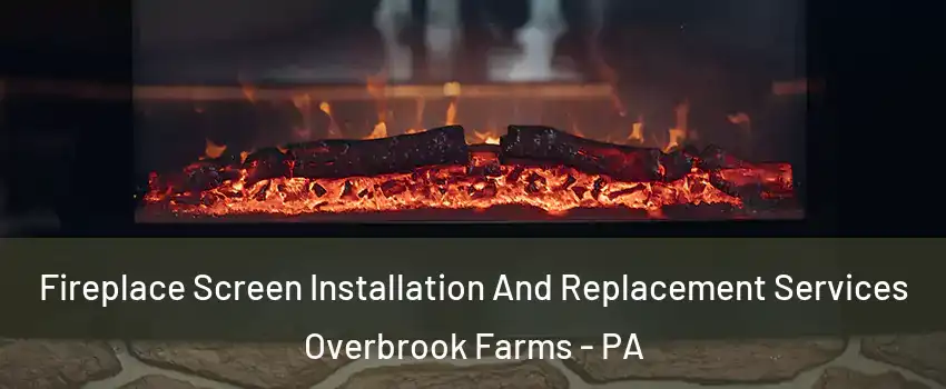 Fireplace Screen Installation And Replacement Services Overbrook Farms - PA