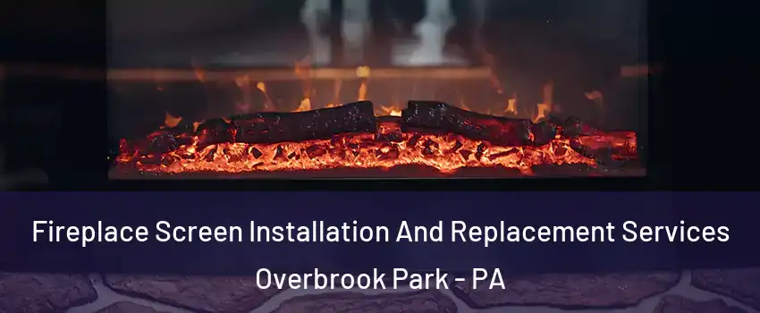 Fireplace Screen Installation And Replacement Services Overbrook Park - PA