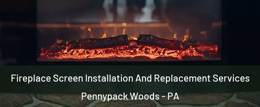 Fireplace Screen Installation And Replacement Services Pennypack Woods - PA