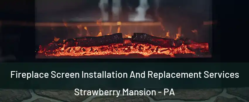 Fireplace Screen Installation And Replacement Services Strawberry Mansion - PA
