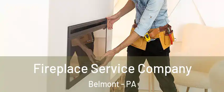 Fireplace Service Company Belmont - PA
