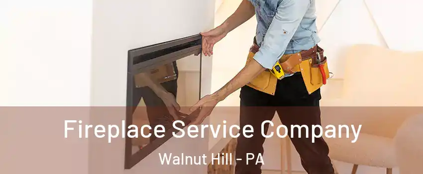 Fireplace Service Company Walnut Hill - PA