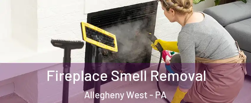Fireplace Smell Removal Allegheny West - PA