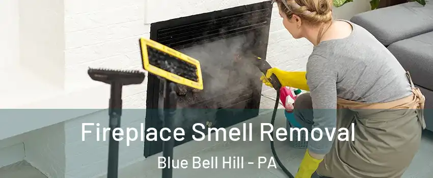 Fireplace Smell Removal Blue Bell Hill - PA