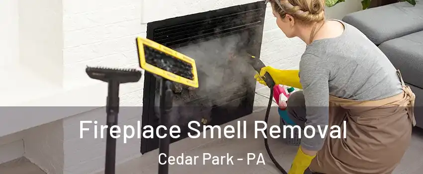 Fireplace Smell Removal Cedar Park - PA